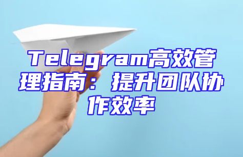 Telegram高效管理指南：提升团队协作效率