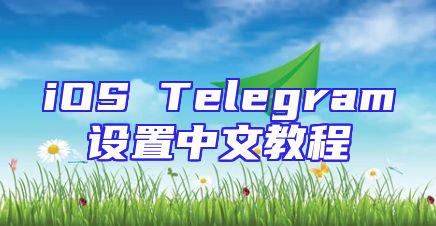 iOS Telegram设置中文教程