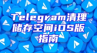 Telegram清理储存空间iOS版指南