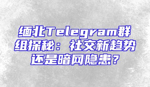缅北Telegram群组探秘：社交新趋势还是暗网隐患？