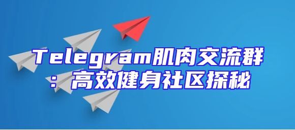 Telegram肌肉交流群：高效健身社区探秘