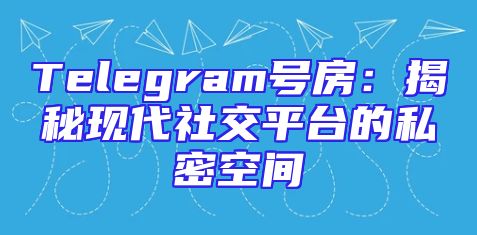 Telegram号房：揭秘现代社交平台的私密空间