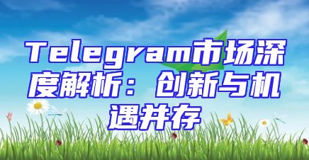 Telegram市场深度解析：创新与机遇并存