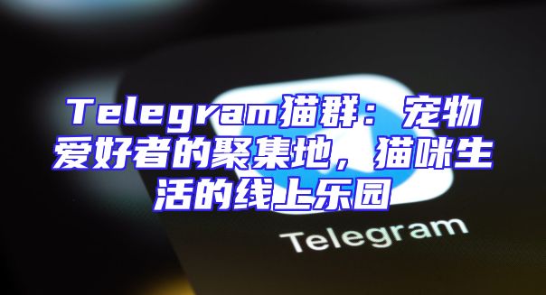 Telegram猫群：宠物爱好者的聚集地，猫咪生活的线上乐园