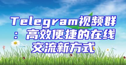 Telegram视频群：高效便捷的在线交流新方式